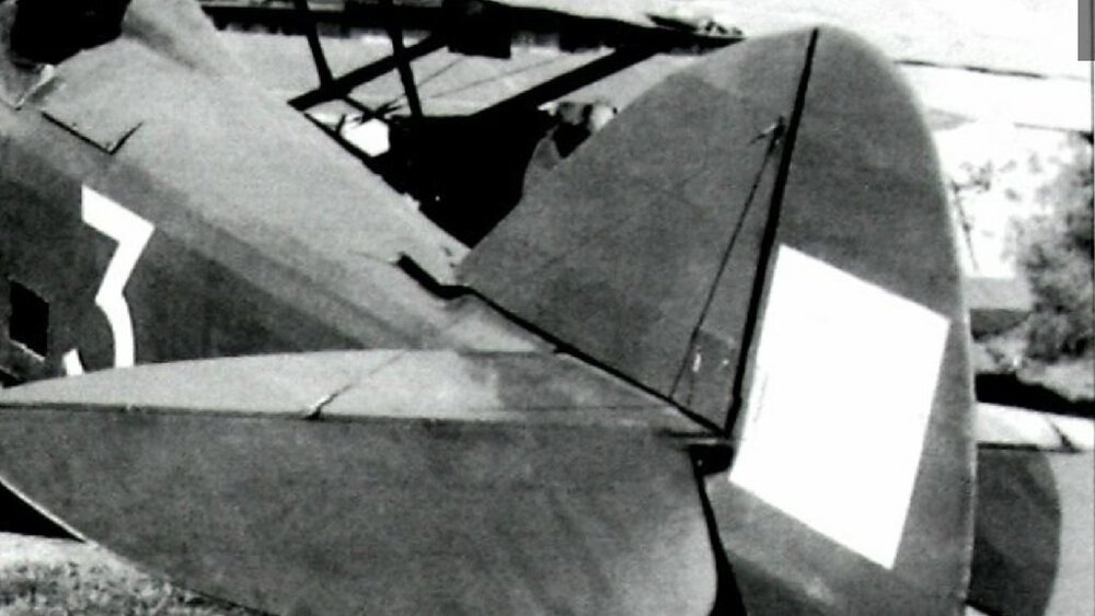 PWS-10.thumb.jpg.32d5f8451ed3b91c10a956292f3a888f.jpg
