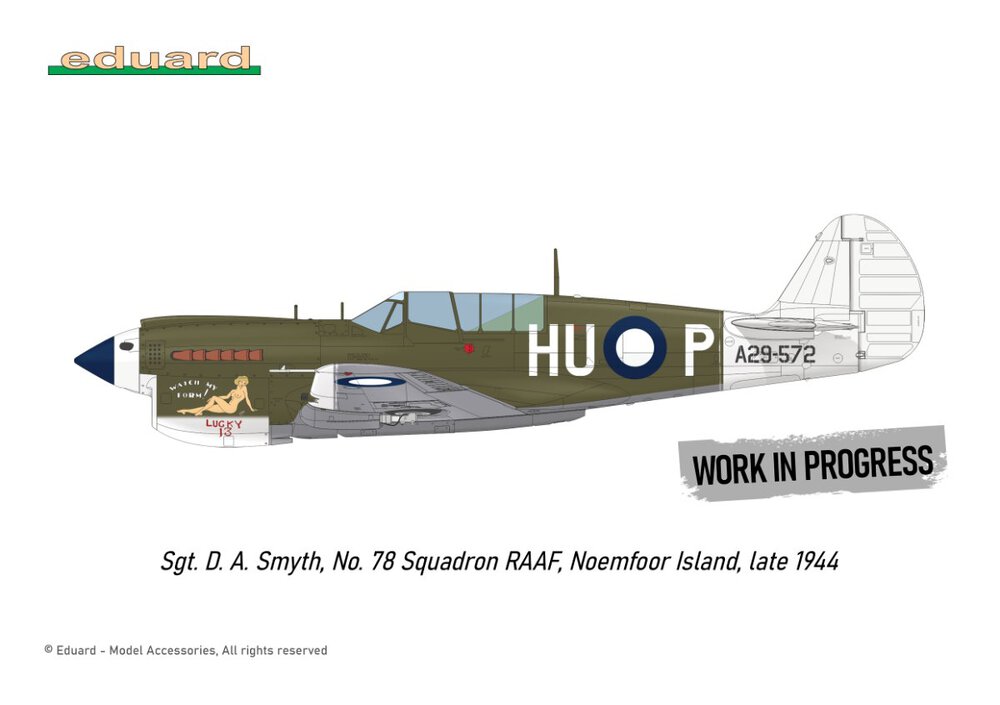R0025_P-40N_markingy_008.thumb.jpg.e81083c69eb89e8dc4e17531df05b00a.jpg