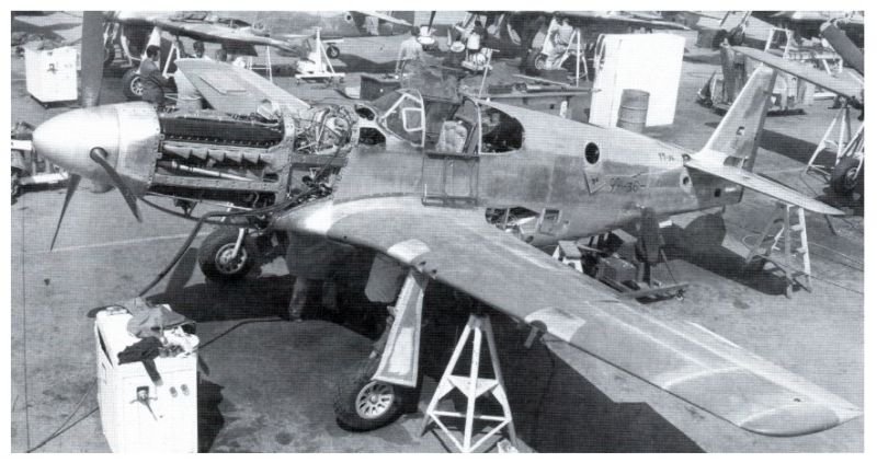 p51.jpg.5430e307f040bf33a84af07e90fe485e.jpg