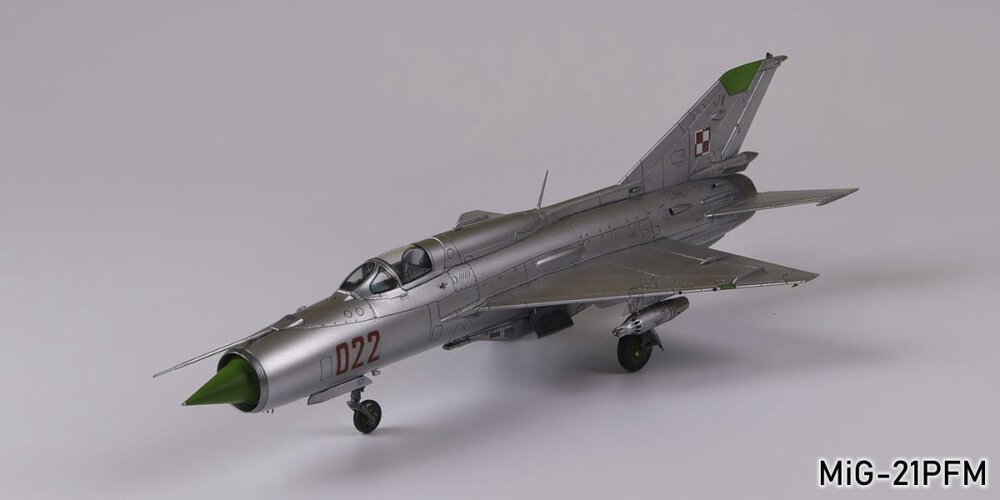 1350318735_mig-21pfm-a001g.thumb.jpg.e27622e8b8287953da60a105823d636b.jpg