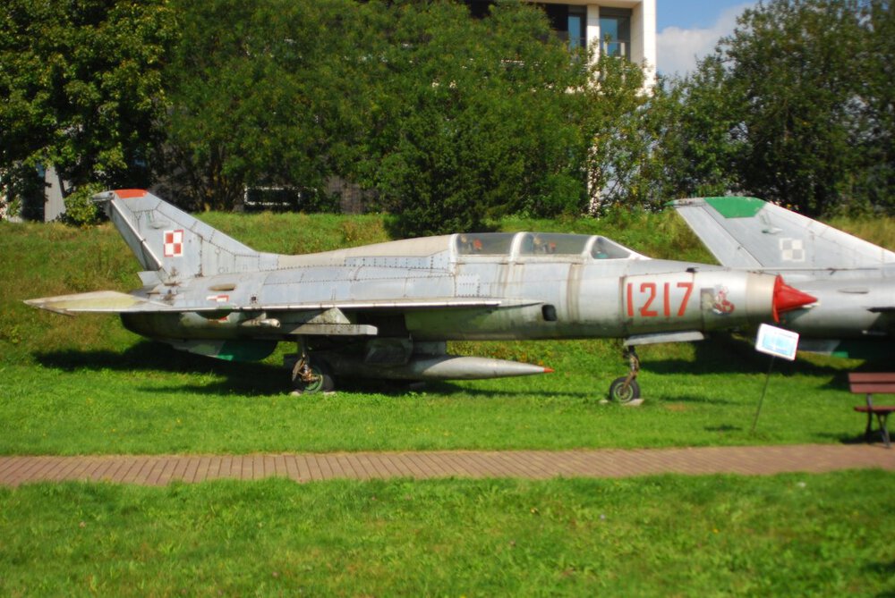 DSC_5013.JPG