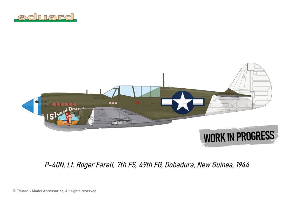 R0025_P-40N_KAMO_006.thumb.jpg.334fe4180b452536ed6c217d84b753b8.jpg
