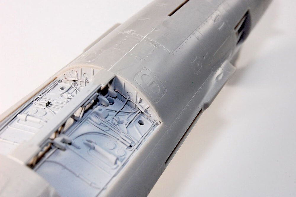 f-10413.thumb.JPG.322496465c0966c1c3aeedc793f58592.JPG