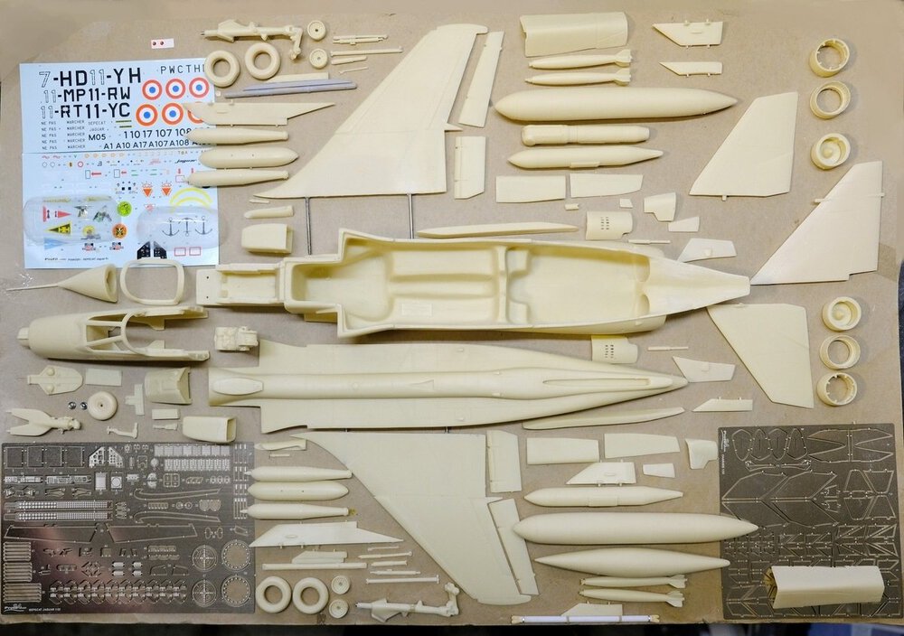 scale_1200.jpg