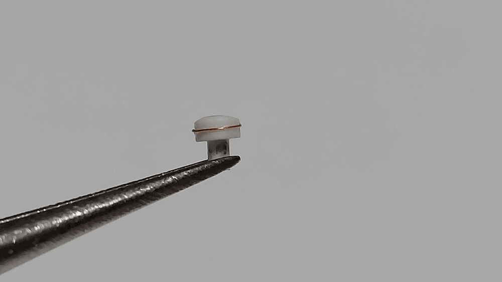 1127631403_121d(Copy).thumb.gif.6d9150882174994b44883ac513bffb9c.gif