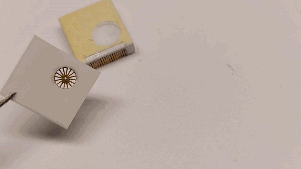 1396912348_107h(Copy).thumb.gif.6a088be5602bb63d5636239354e2f6ab.gif