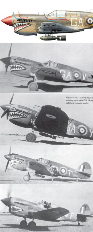 p40 kopia.jpg
