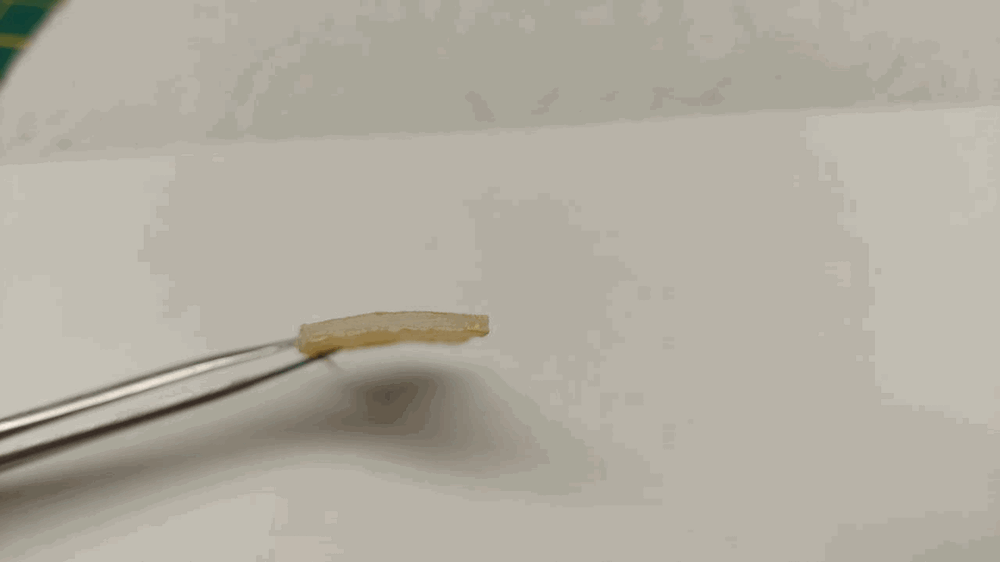 2106781750_21(Copy).thumb.gif.0597d1e4d7634017f69c4999794d28b9.gif