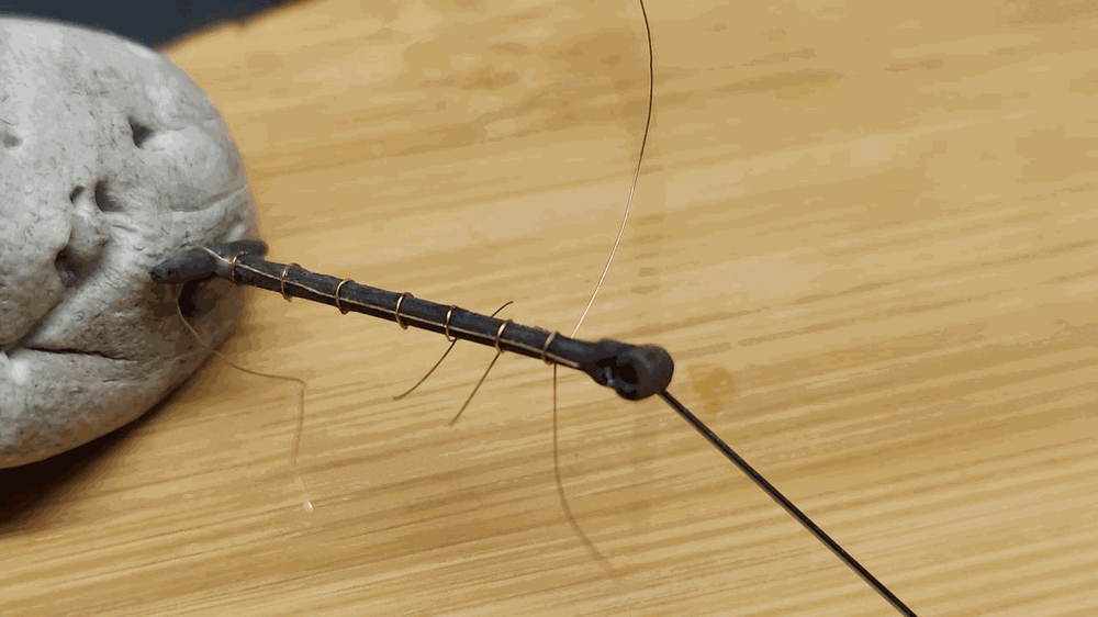 402301638_98(Copy).thumb.gif.7dd4978e367bd79384921c5913648c4a.gif