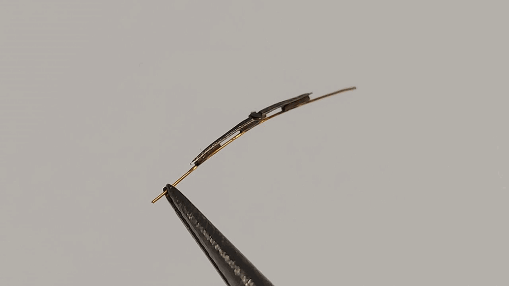 569839422_119f(Copy).thumb.gif.48dd3f25d1b4038692cac0c9299109b6.gif