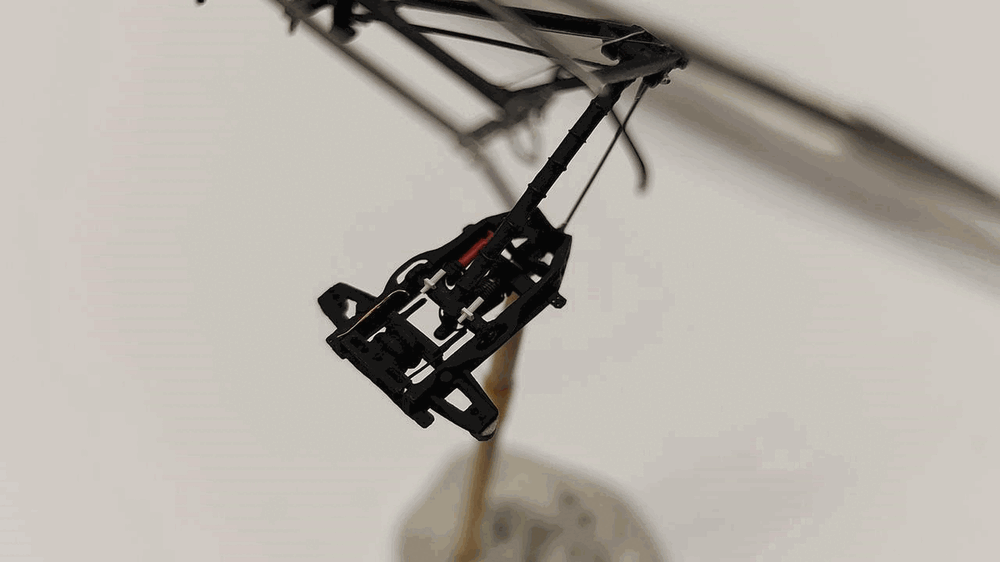 740112416_105A(Copy).thumb.gif.c6a8e90debc1615106913b05b9eccd0f.gif