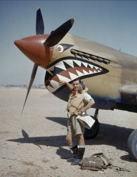 Aircrew-RAF-122Sqn-Flight-Lieutenant-AR-Costello-at-Sidi-Heneish-Egypt-April-1942-IWM-COL196.jpg