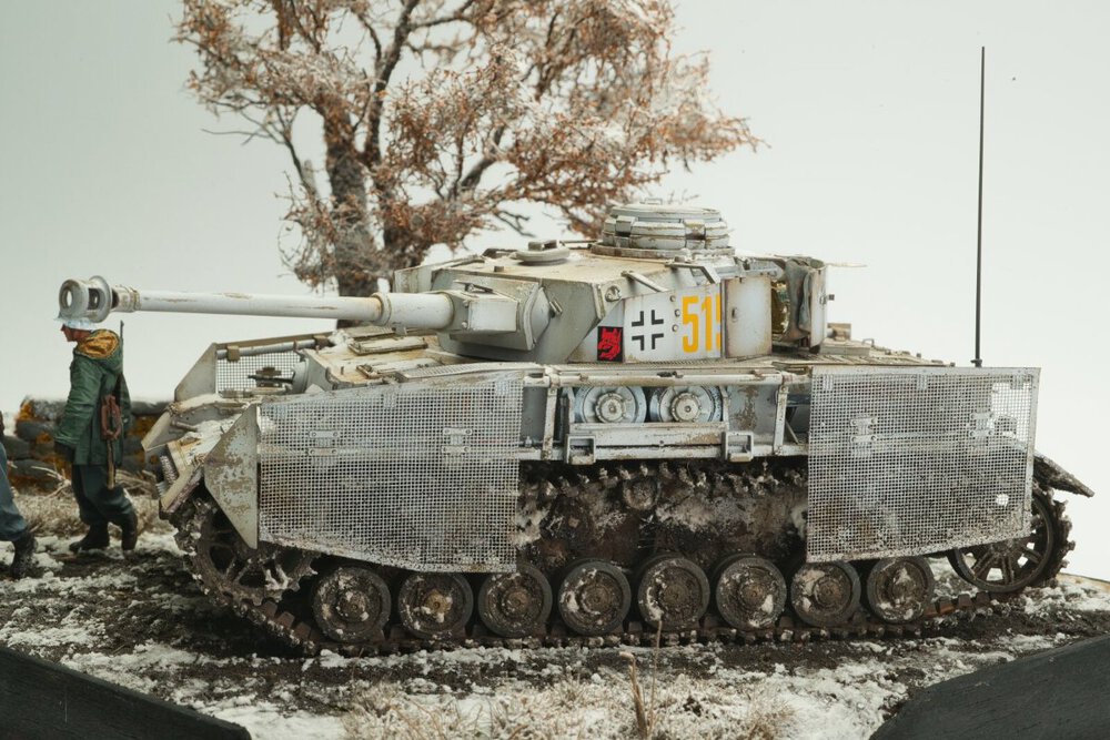 PE2_7217.jpg
