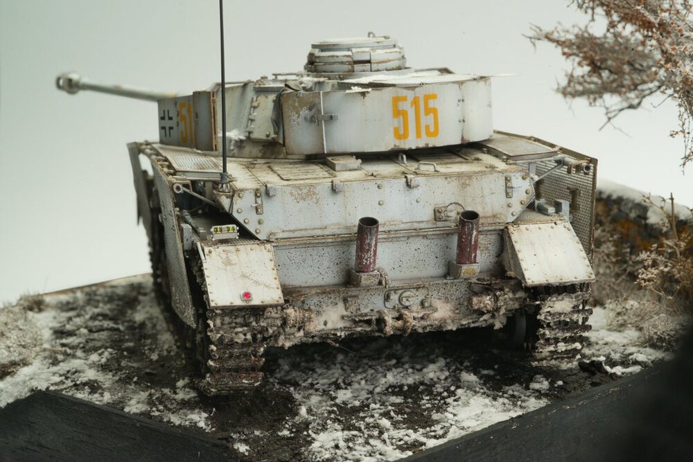 PE2_7218.jpg