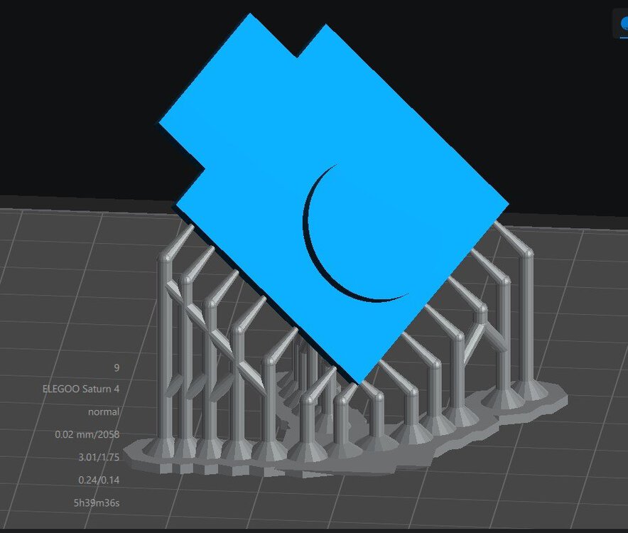 ppp.jpg
