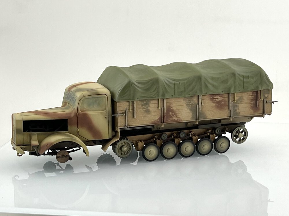 maultier 09.jpg