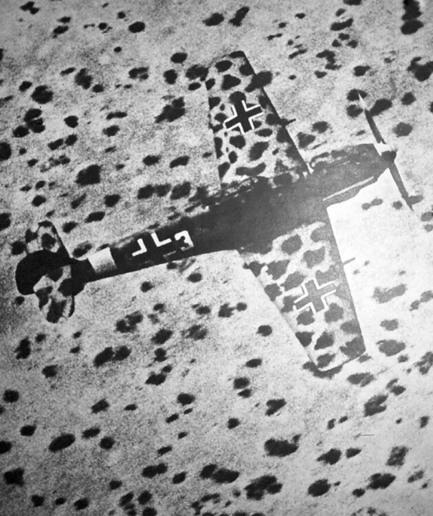 Messerschmitt-Bf-109E7Trop-1.JG27-White-3-on-low-level-patrol-over-Libya-Feb-1942-02.thumb.jpg.231641a98fde6554e2f5058d719461b3.jpg