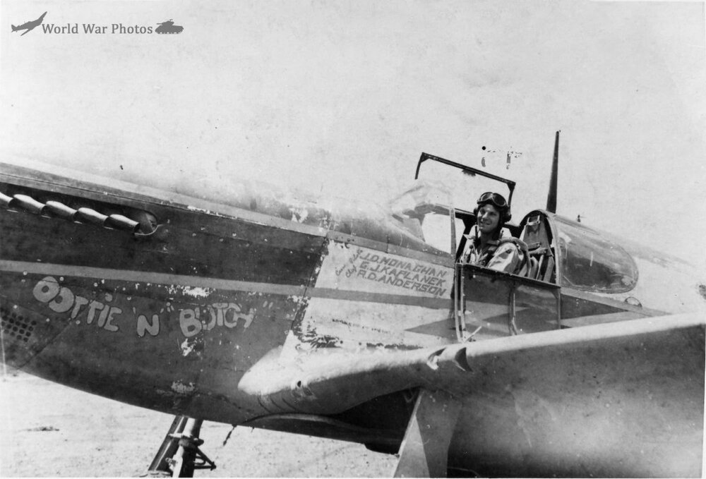 P-51_Mustangs_118th_TRS_2.jpg