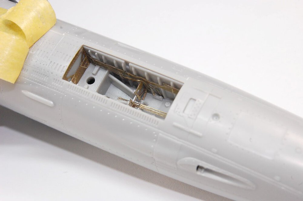 f-10419.thumb.JPG.2395b86d77c40f1223b3d056814856e1.JPG