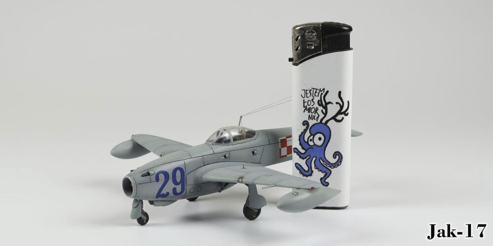 1945617967_Jak-17g001.thumb.jpg.21609ea366c7c527f5b9e2ad9ce60fa8.jpg