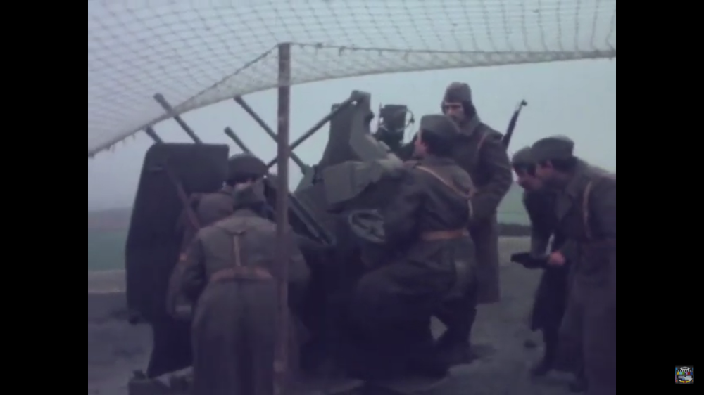 2052538833_flakvierling3.thumb.png.9f4009c5c29e441059e641ab3b978200.png
