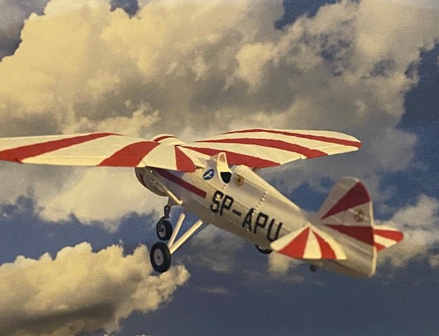 PZL11_tos_03.jpg.4c065047d71dd2503efea09a21a985b7.jpg