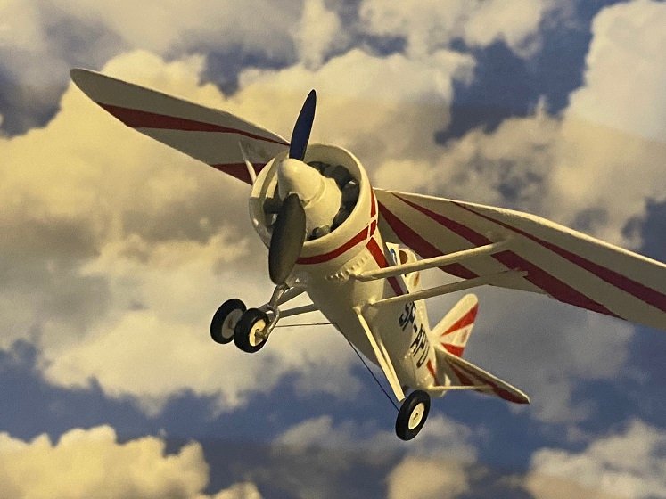 PZL11_tos_04.jpg.ed96fbbb29b8ca553ef90c68a0c3560a.jpg