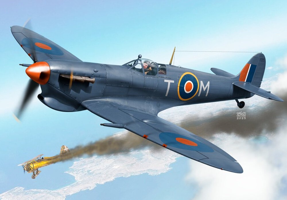 Spitfire-Mk-Vb-Trop.thumb.jpg.6b6dd88a6e6e1943062f913e0a86f856.jpg