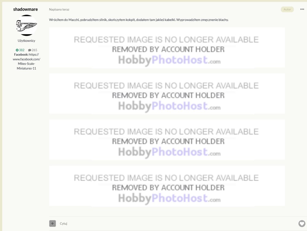 Screenshot 2025-11-15 at 18-28-32 Italeri Macchi MC. 205 1 32 - L Warsztat - Modelarstwo plastikowe - Modelwork.png