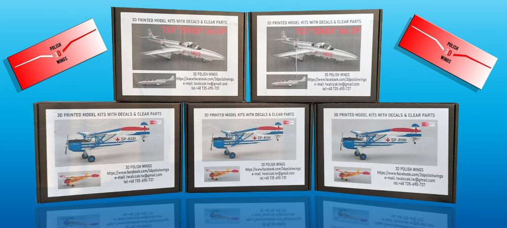 3d polish wings modele.jpg