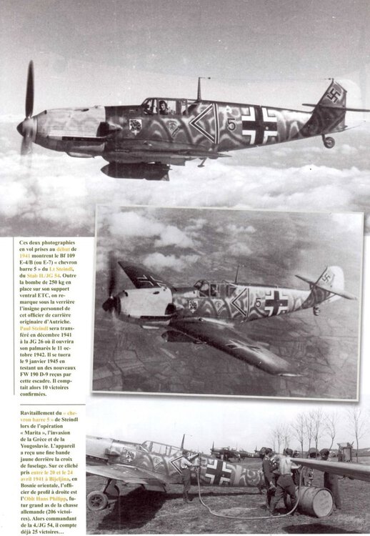 Messerschmitt-Bf-109E7B-Stab-II.JG54-Paul-Steindl-Balkans-Dec-1941-Avions-190-P12.thumb.jpg.c0cfb28c300fe6f45c0c667fd467599d.jpg