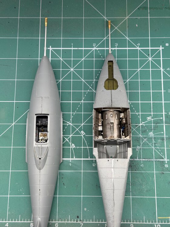 rhino - 02.jpg