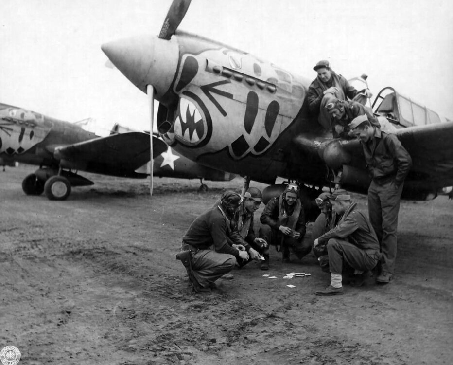 667039590_CurtissP-40Eofthe11thFighterSquadron343rdFighterGroup.ArmyPhoto.thumb.jpg.54d855825ed6d55cbcee9985f98313ab.jpg