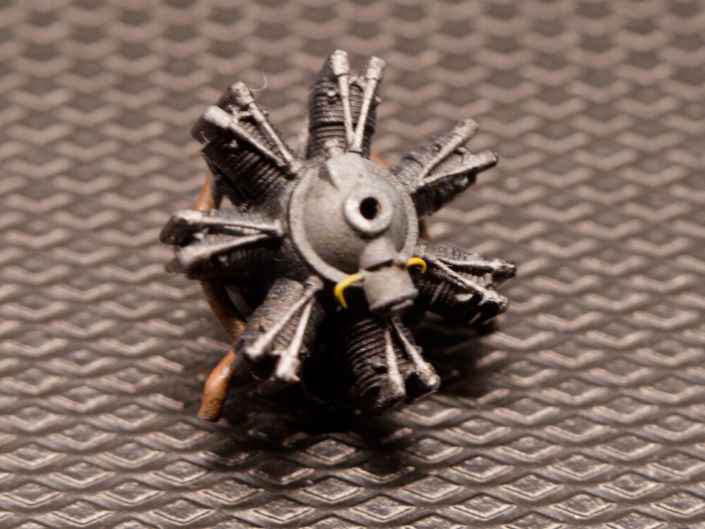 P5191840.thumb.jpg.a9c77693926c7cc971fabb95452a330a.jpg