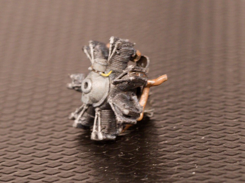 P5191850.thumb.jpg.f73facaca48a9047da654969f07fedbc.jpg