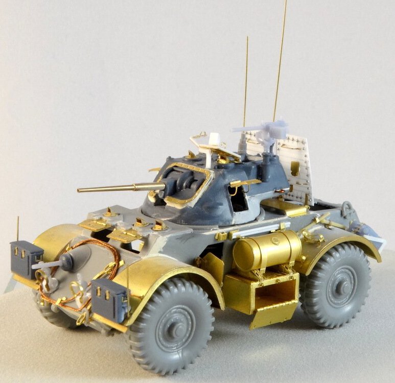 Staghound-06.JPG
