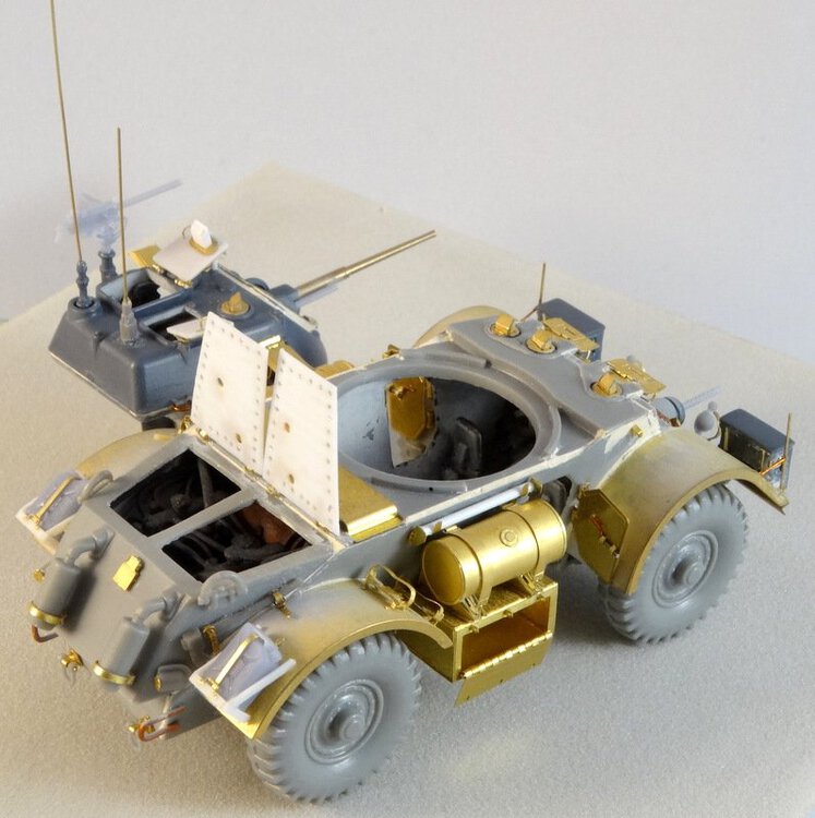 Staghound-07.JPG
