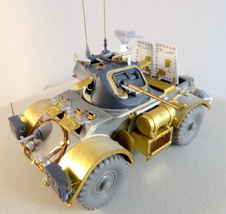 Staghound-09.JPG