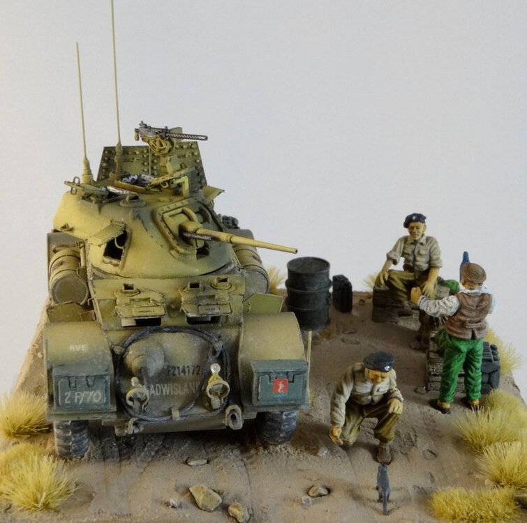 Staghound-12.JPG