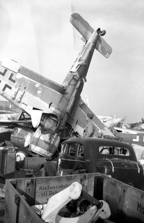 Focke-Wulf-Fw-190F8-II.SG2-Yellow-14-WNr-584592-Nuebiberg-1945-01.thumb.jpg.dbeb24082cab74107bfcfe5c57ad4266.jpg