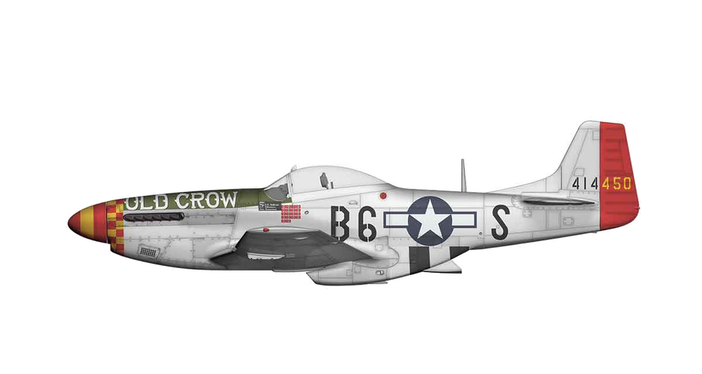P-51D.thumb.png.34f123f0d424496662a141e8ee212048.png