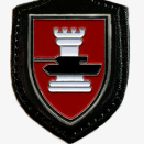 Thomek_PzgrenBtl_294
