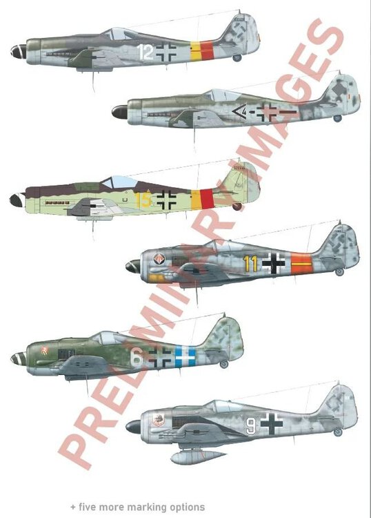 eduard-11199-wilde-sau-fw-190-dual-combo-3.jpg