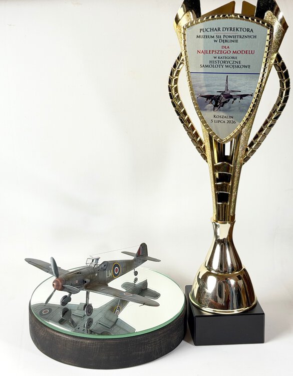 nagroda - bf109.jpg