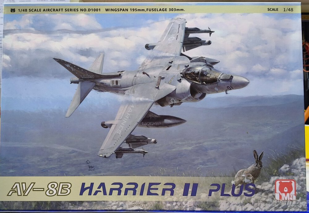AV8B.jpg