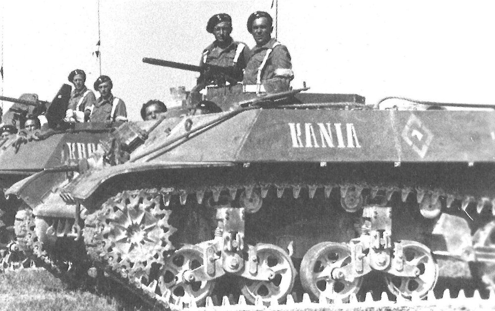PL_M3A3_Kania.jpg
