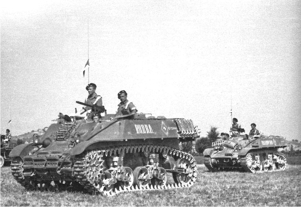 PL_M3A3_Kobra.jpg