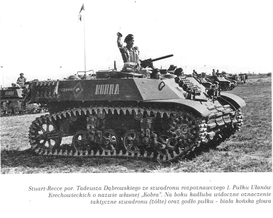 PL_M3A3_Kobra2.jpg