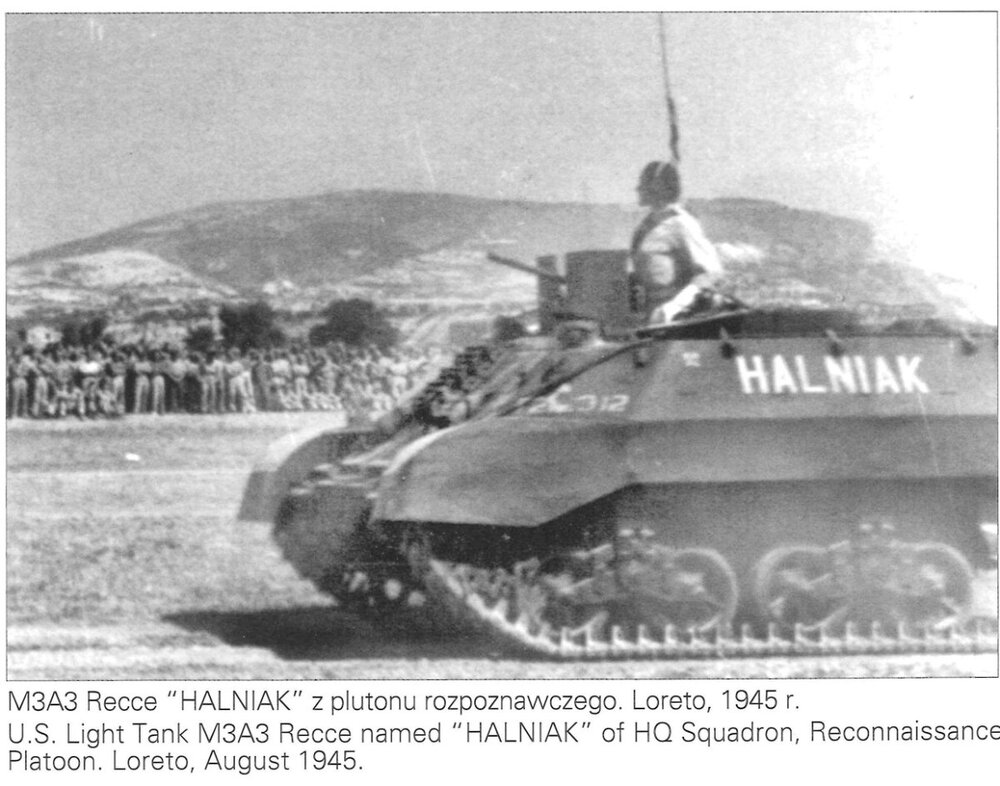 PL_M3A3_halniak.jpg