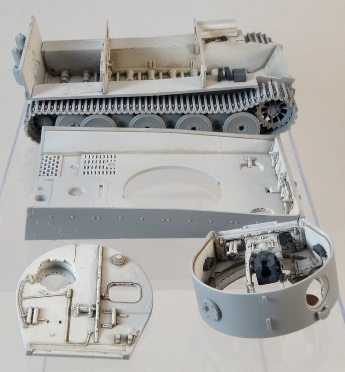 TigerH-02.JPG